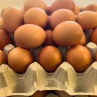 Uova fresche di giornata cada 1