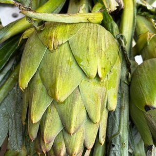 Domestica  bollita cada 1 prodotto dopo le ore 15