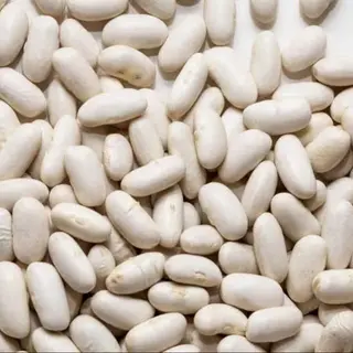 Fagioli bianchi 500gr