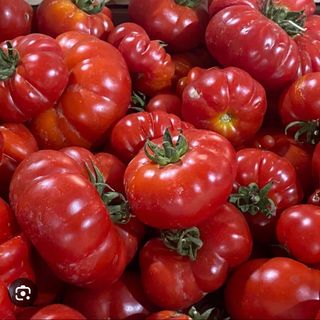 Pomodoro Salsa 500gr