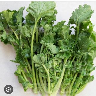 Cime di rapa cada 1
