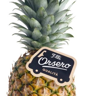 Ananas cada1