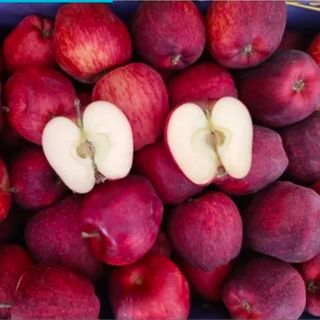 Mele Dell'Etna 1kg