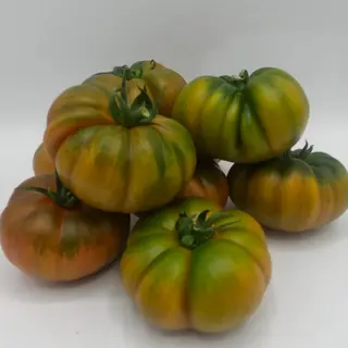 POMODORO PACHINO 500gr