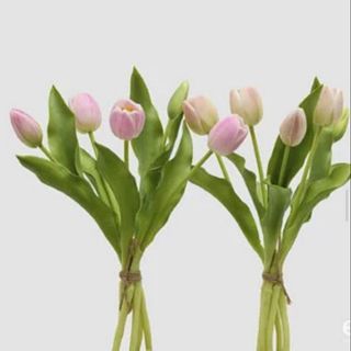 5 Tulipani Rosa art.
