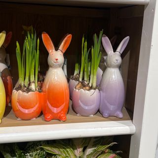 Coniglietto con pianta