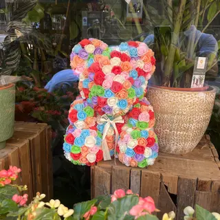 Teddy multicolor