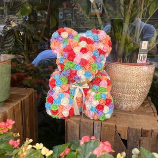 Teddy multicolor