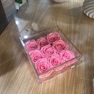 9 rose stabilizzate rosa 15x15