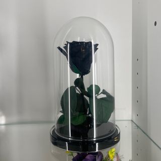 Rosa stabilizzata nera 25 cm
