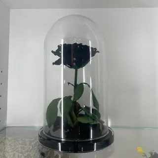 Rosa stabilizzata nera 30cm