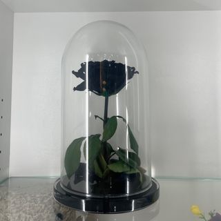 Rosa stabilizzata nera 30cm