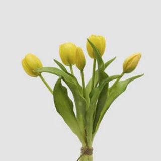 5 Tulipani Gialli art.