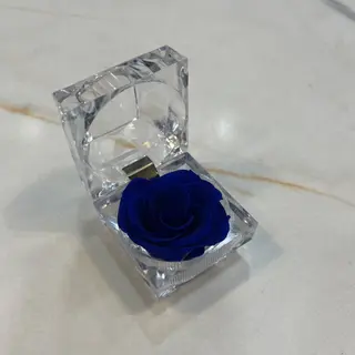Rosa blu stabilizzata