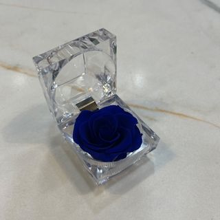 Rosa blu stabilizzata
