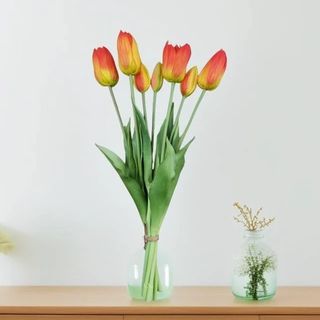 9 Tulipani arancioni