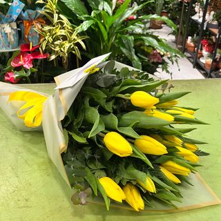 20 tulipani gialli