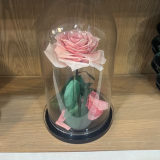 Rosa eterna rosa 30cm