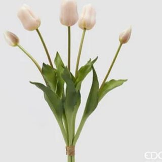 5 Tulipani Bianchi art.
