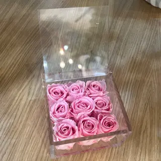 9 rose rosa stabilizzate10x 10 cm