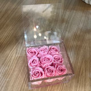 9 rose rosa stabilizzate10x 10 cm