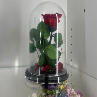Rosa stabilizzata rossa 25cm