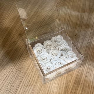 9 rose bianche stabilizzate 10 × 10 cm