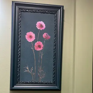 Quadro Papavero