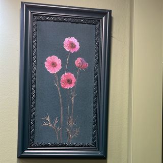 Quadro Papavero