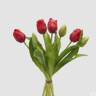 5 Tulipani Rossi art.