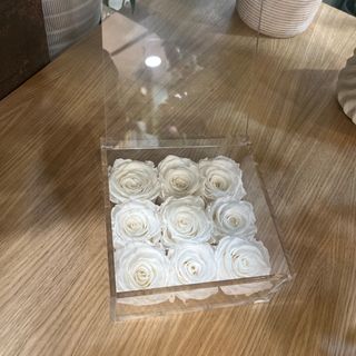 9 rose stabilizzate bianche 15x15 cm
