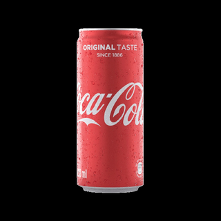 Coca-Cola Lattina 330 ml