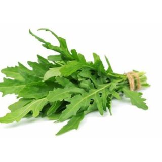 Rucola