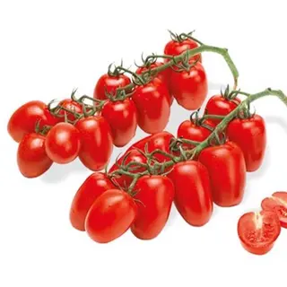 Datterini