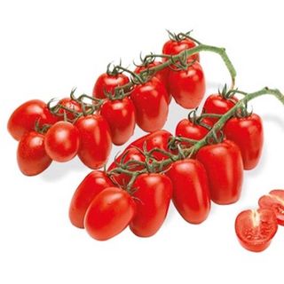 Datterini