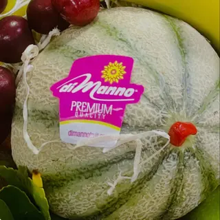 Cantalupo di manno