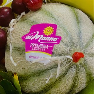 Cantalupo di manno
