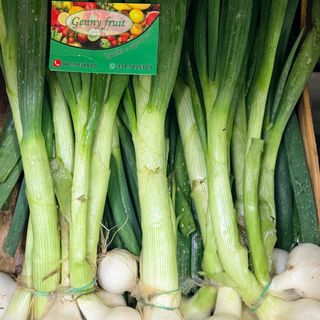 Cipolline fresce