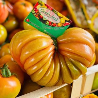 Pomodori cuore di bue