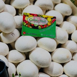 Funghi bianchi