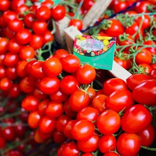 Pomodori piccadilli