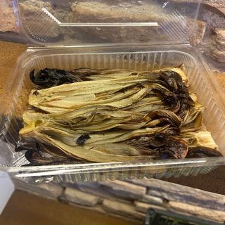 Tardivo alla piastra 1 vaschetta