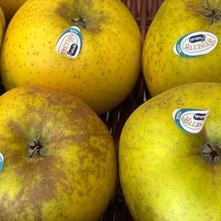 Mela Melinda renetta