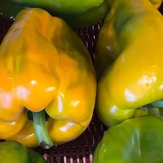 Peperoni gialli