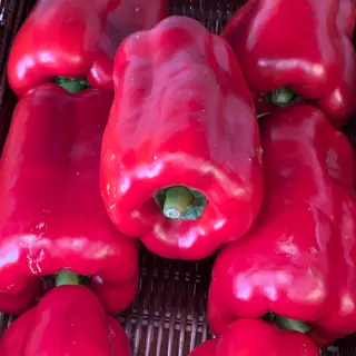 Peperoni rossi