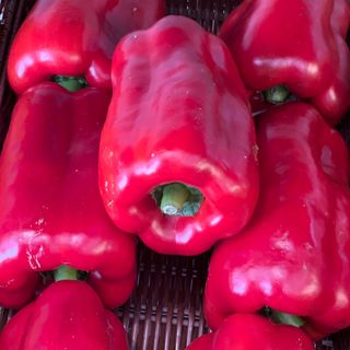 Peperoni rossi