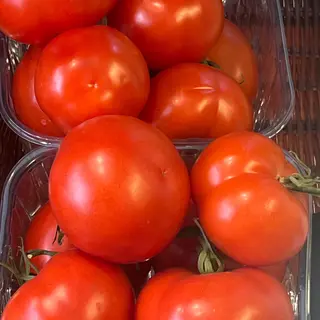 Pomodoro grappolo