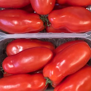 Pomodoro Perino