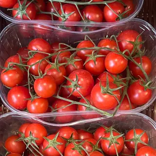 Pomodoro ciliegino