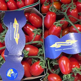 Pomodoro datterino